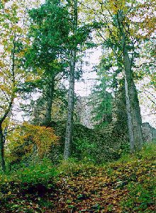 Blick auf die Burgruine