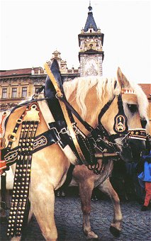 Slavnosti Zlat� stezky v Prachatic�ch