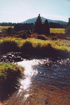 Hamersk� potok na Horsk� Kvild�