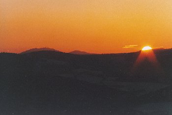 Velk� Javor ze Svatoboru